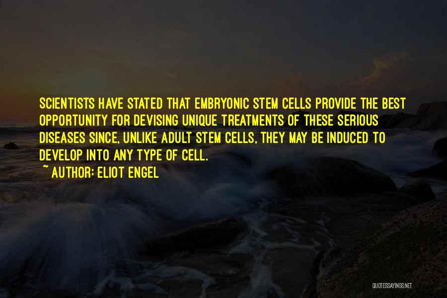 Eliot Engel Quotes 355311