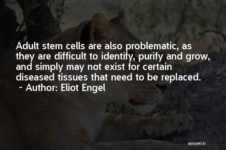 Eliot Engel Quotes 486666
