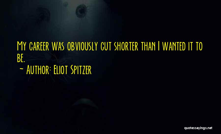 Eliot Spitzer Quotes 1901063