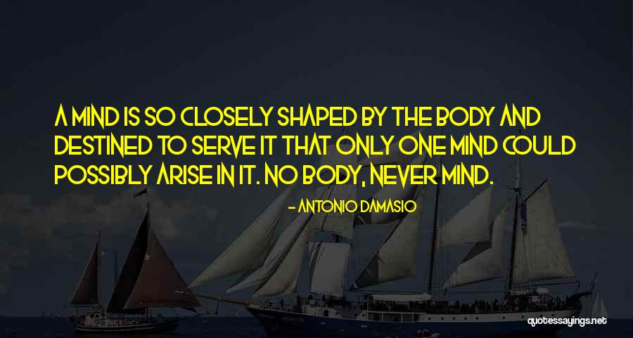Eliptica Definicion Quotes By Antonio Damasio Eliptica Definicion Quotes By Antonio Damasio
