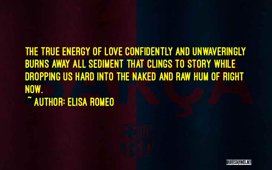 Elisa Romeo Quotes 1997497