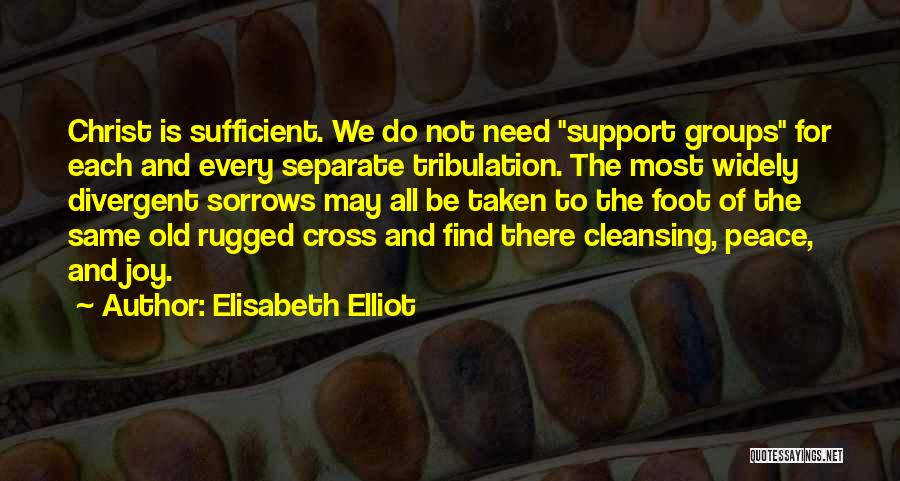 Elisabeth Elliot Quotes 1439102