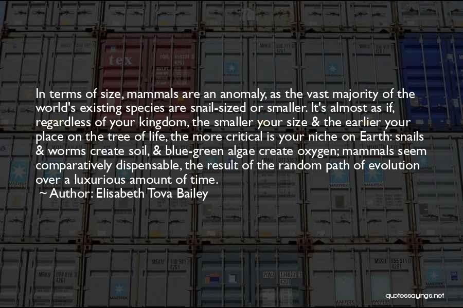 Elisabeth Tova Bailey Quotes 1910404