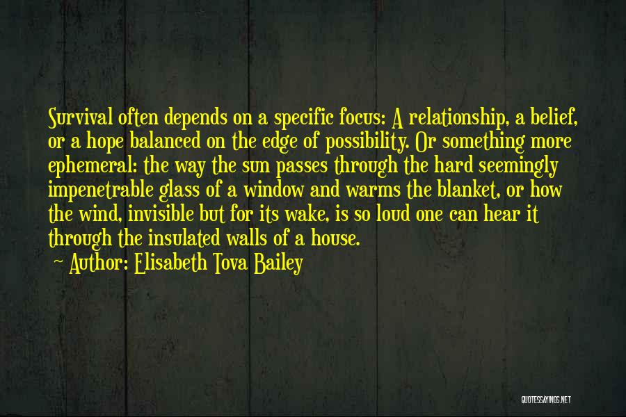 Elisabeth Tova Bailey Quotes 1957355