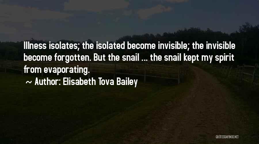 Elisabeth Tova Bailey Quotes 2243906