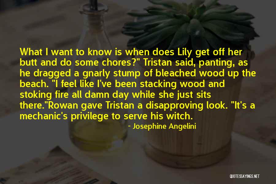 Elisar Lotr Quotes By Josephine Angelini Elisar Lotr Quotes By Josephine Angelini