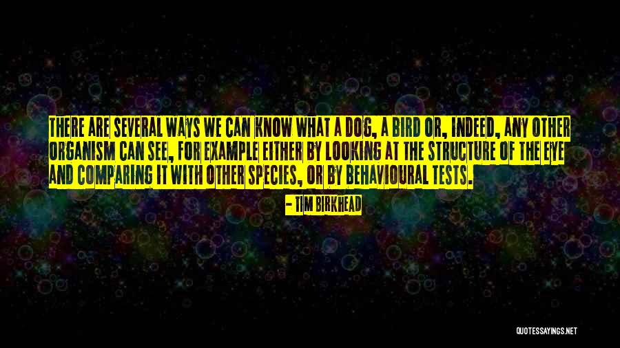 Elischers Driving School Quotes By Tim Birkhead Elischers Driving School Quotes By Tim Birkhead