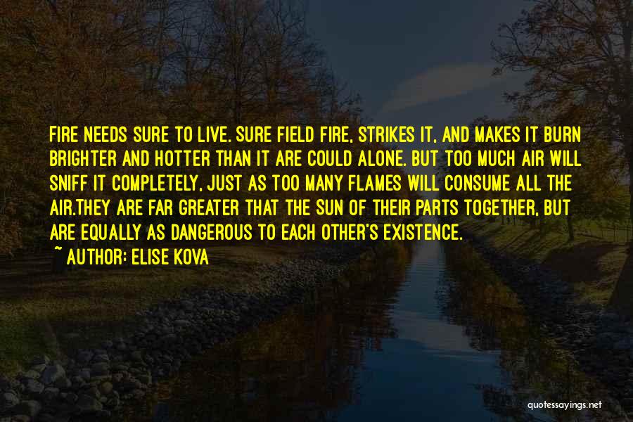 Elise Kova Quotes 1575893