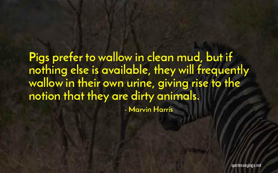 Elisete Siqueira Quotes By Marvin Harris Elisete Siqueira Quotes By Marvin Harris