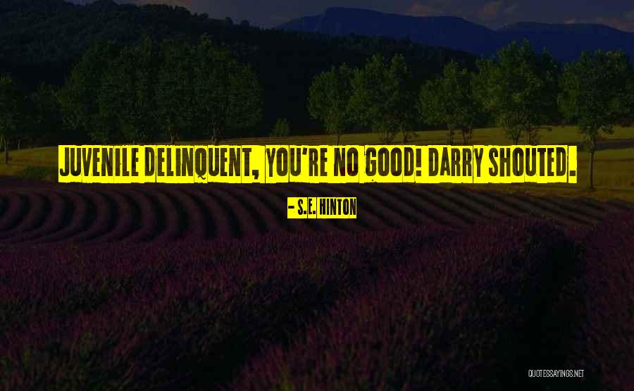 Elitrentacar Quotes By S.E. Hinton Elitrentacar Quotes By S.E. Hinton