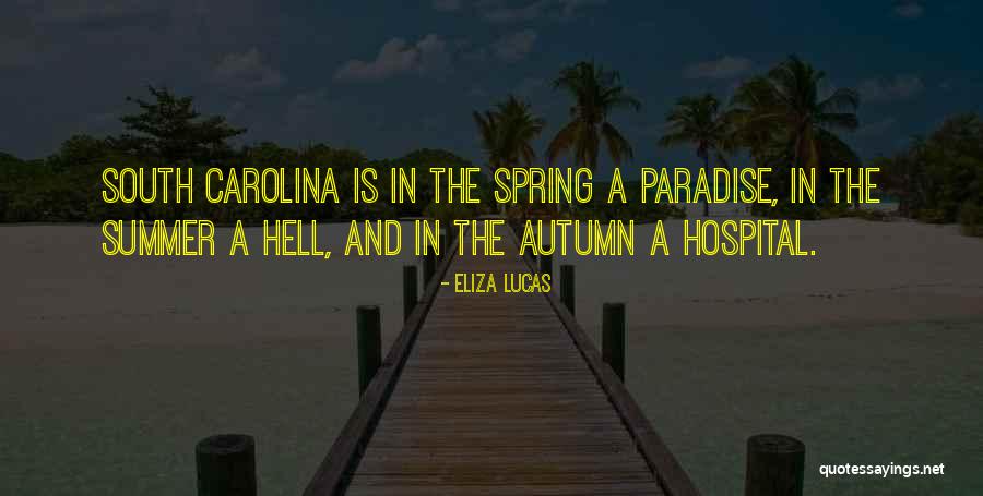Eliza Lucas Quotes 2261067 Eliza Lucas Quotes 2261067