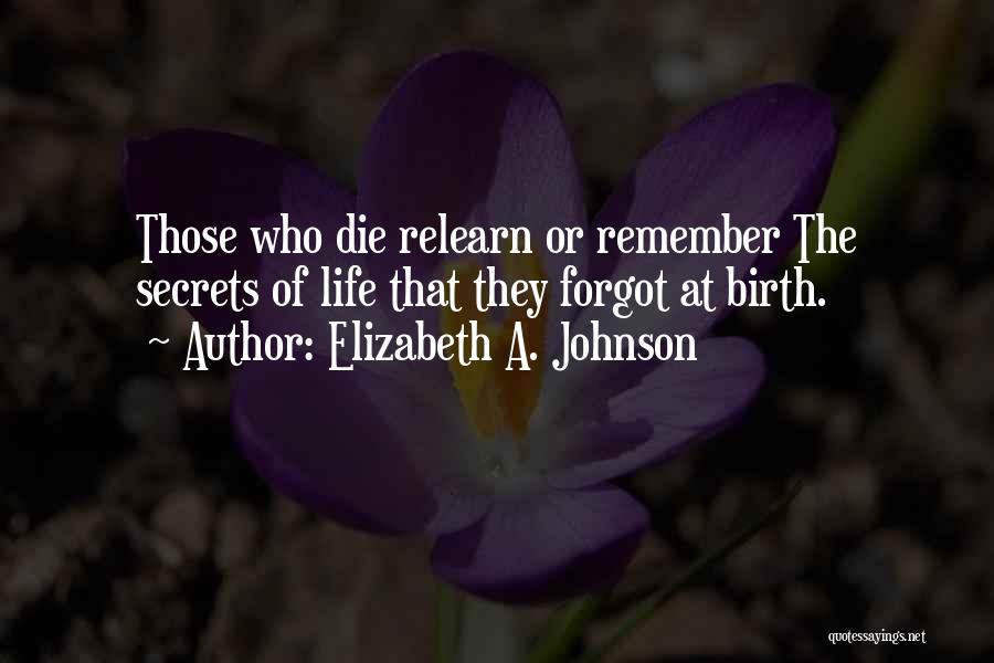 Elizabeth A. Johnson Quotes 1912948