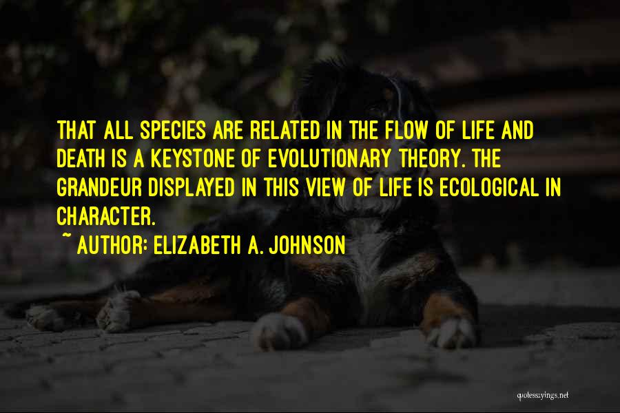 Elizabeth A. Johnson Quotes 699697