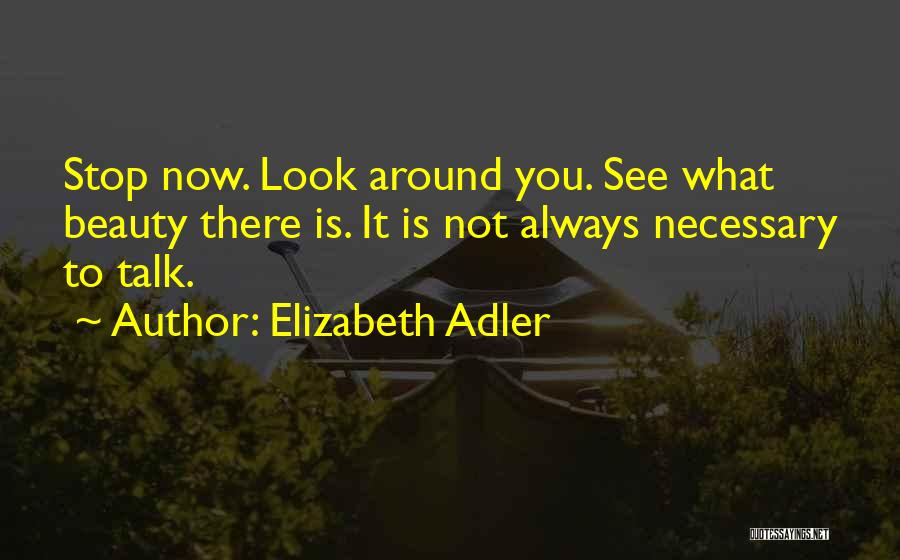 Elizabeth Adler Quotes 838542