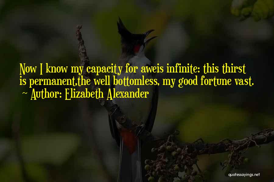 Elizabeth Alexander Quotes 1236442