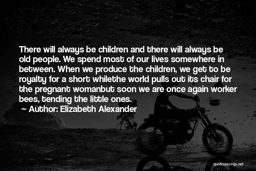 Elizabeth Alexander Quotes 1919939