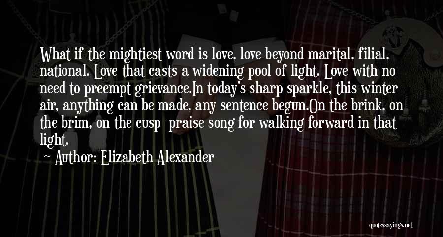 Elizabeth Alexander Quotes 240521