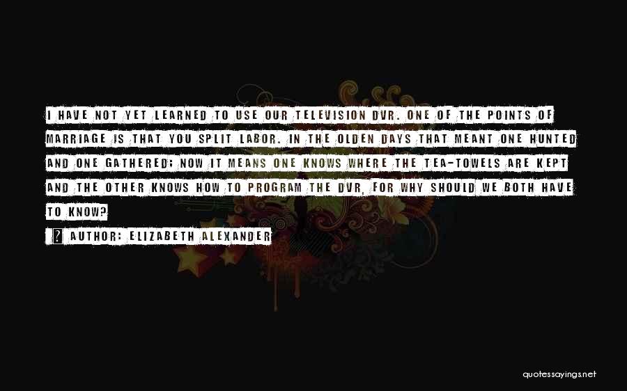 Elizabeth Alexander Quotes 801577