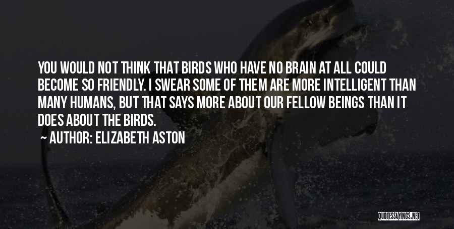 Elizabeth Aston Quotes 647011