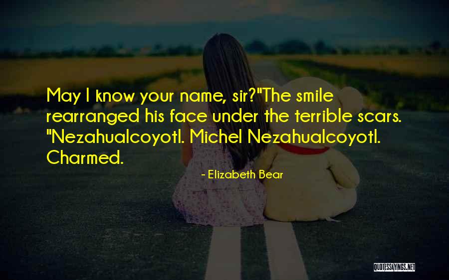 Elizabeth Bear Quotes 1160664 Elizabeth Bear Quotes 1160664