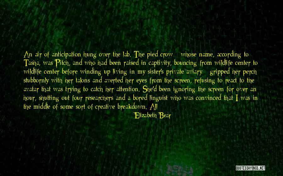 Elizabeth Bear Quotes 1491240 Elizabeth Bear Quotes 1491240