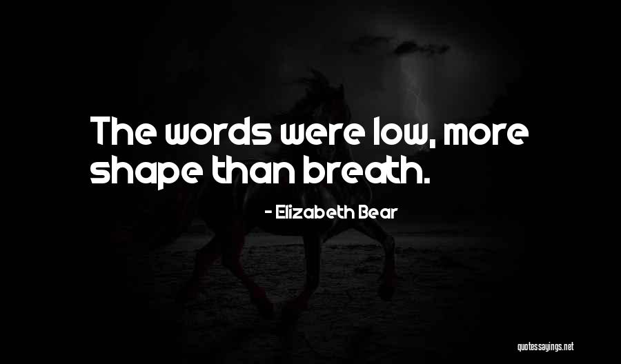 Elizabeth Bear Quotes 1884345 Elizabeth Bear Quotes 1884345