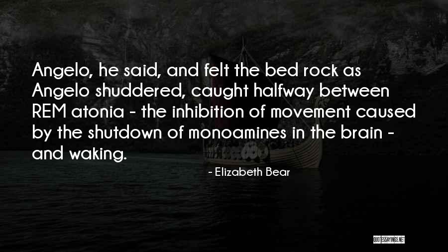 Elizabeth Bear Quotes 548803 Elizabeth Bear Quotes 548803