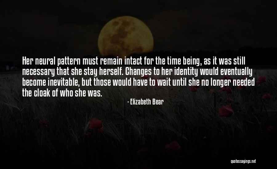 Elizabeth Bear Quotes 711475 Elizabeth Bear Quotes 711475