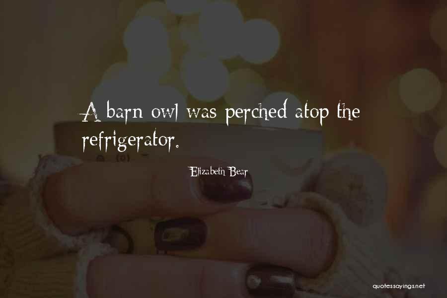 Elizabeth Bear Quotes 916645 Elizabeth Bear Quotes 916645