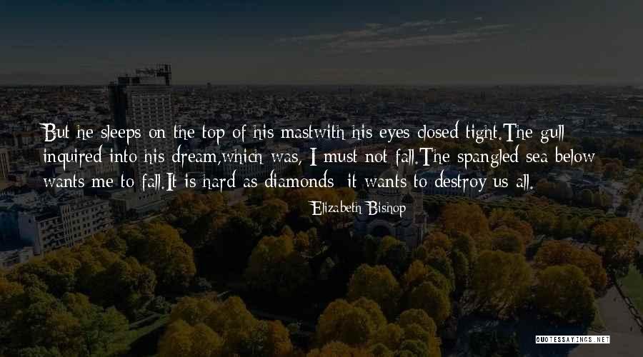 Elizabeth Bishop Quotes 1129929