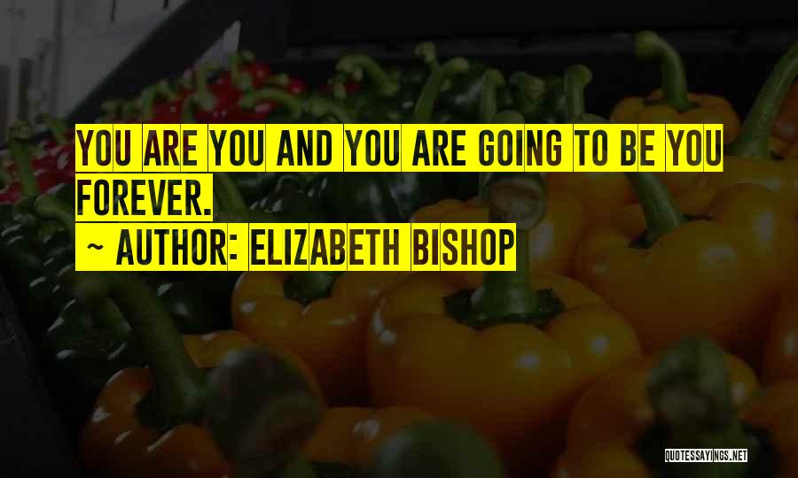 Elizabeth Bishop Quotes 1195576