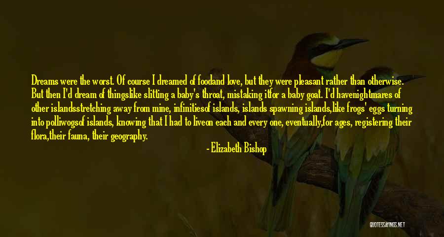 Elizabeth Bishop Quotes 1488718