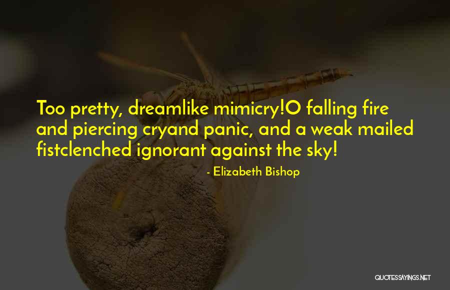 Elizabeth Bishop Quotes 1543668