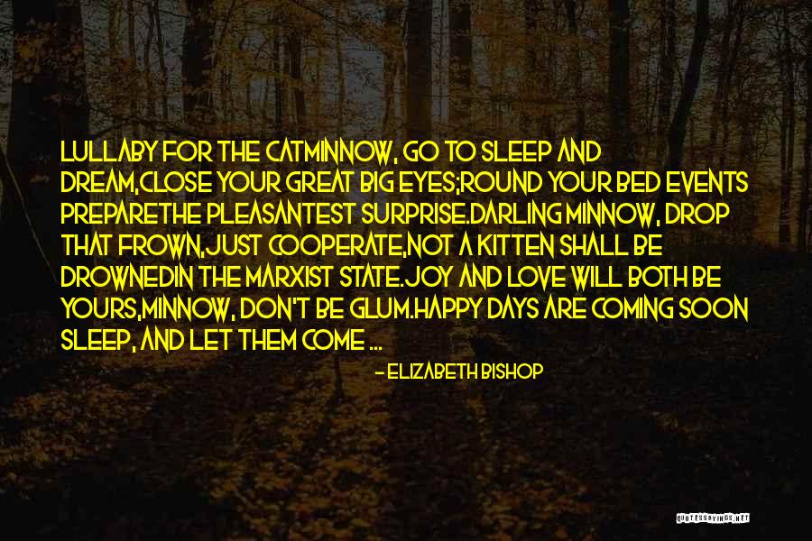 Elizabeth Bishop Quotes 1751176