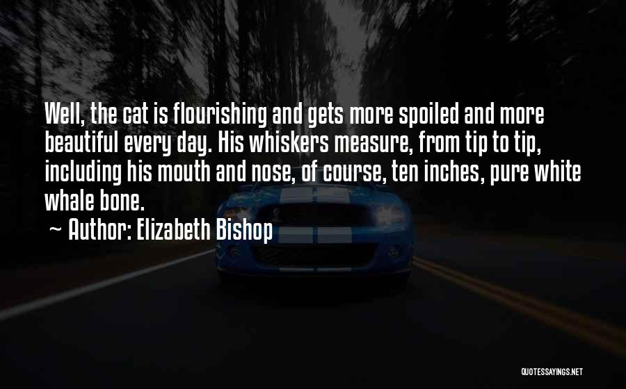 Elizabeth Bishop Quotes 176615