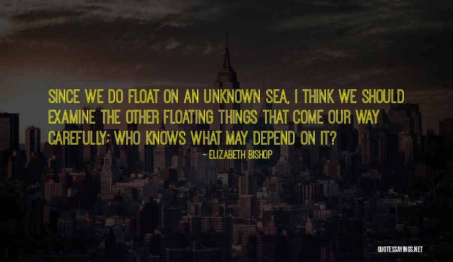 Elizabeth Bishop Quotes 1849250