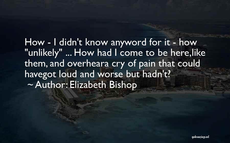 Elizabeth Bishop Quotes 2188421