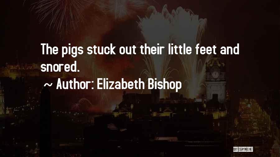 Elizabeth Bishop Quotes 466239