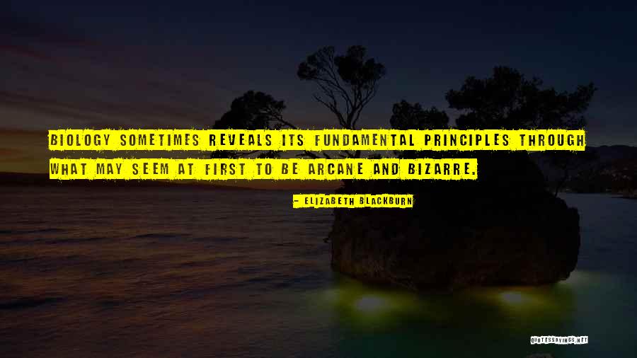 Elizabeth Blackburn Quotes 1059015 Elizabeth Blackburn Quotes 1059015