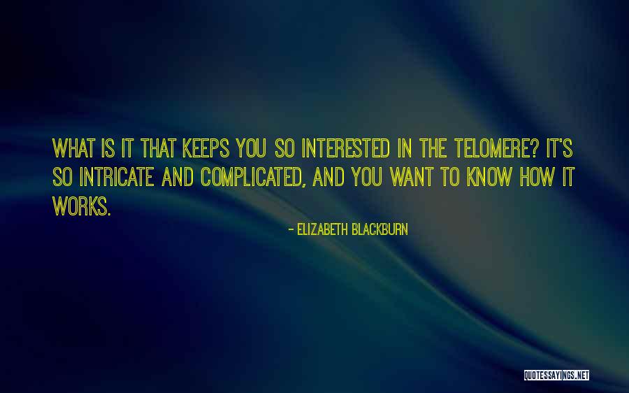 Elizabeth Blackburn Quotes 1243733