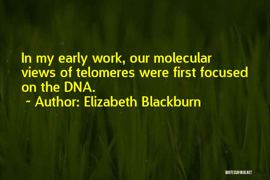 Elizabeth Blackburn Quotes 1314823
