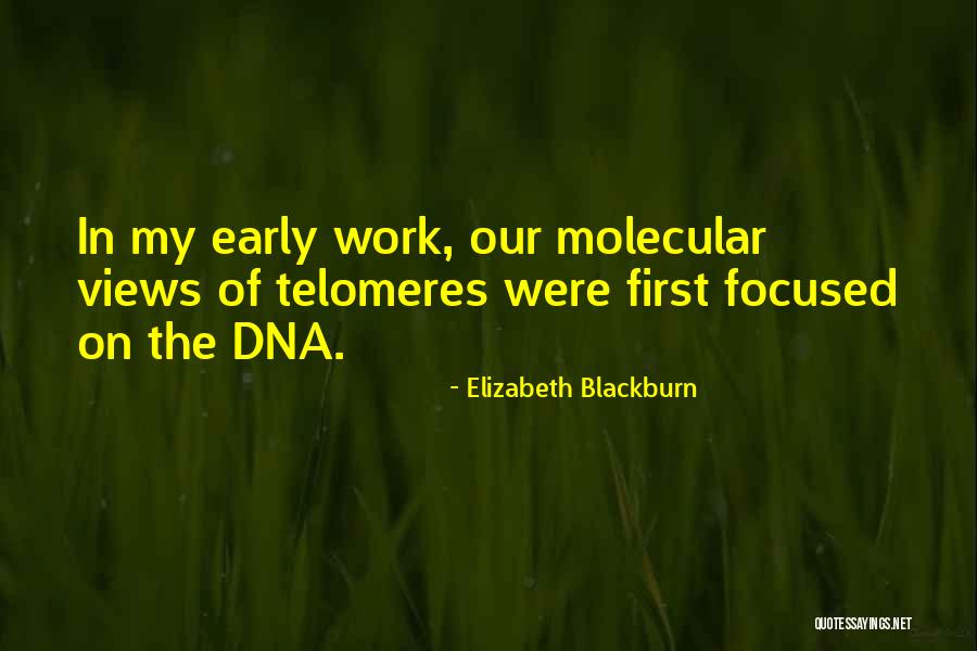 Elizabeth Blackburn Quotes 1314823