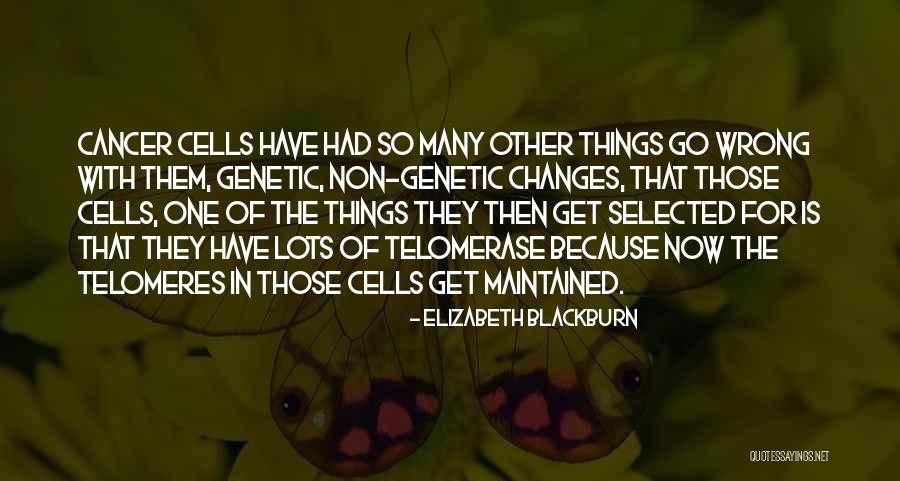 Elizabeth Blackburn Quotes 1364978 Elizabeth Blackburn Quotes 1364978