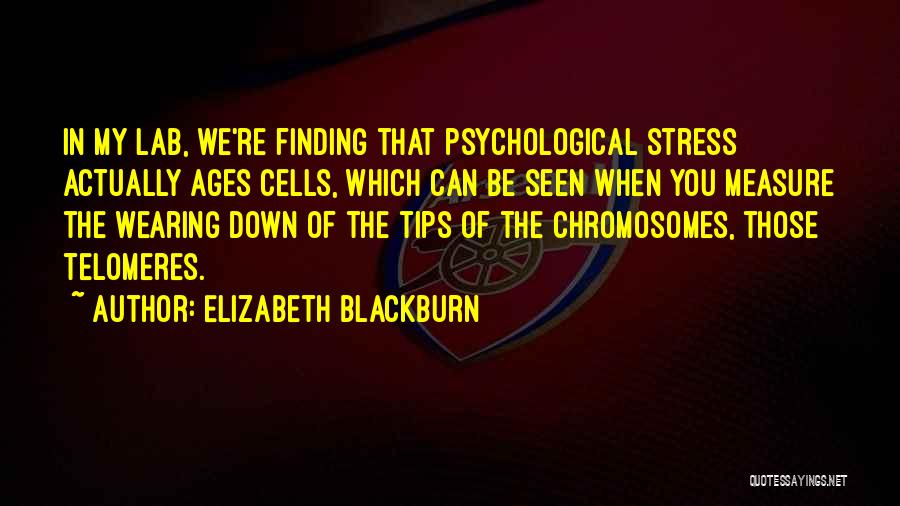 Elizabeth Blackburn Quotes 1497295