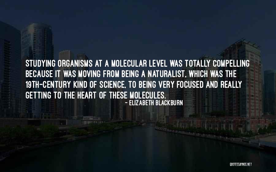 Elizabeth Blackburn Quotes 1574726