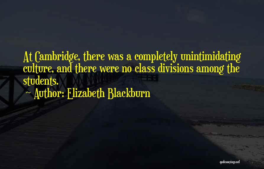 Elizabeth Blackburn Quotes 1718517