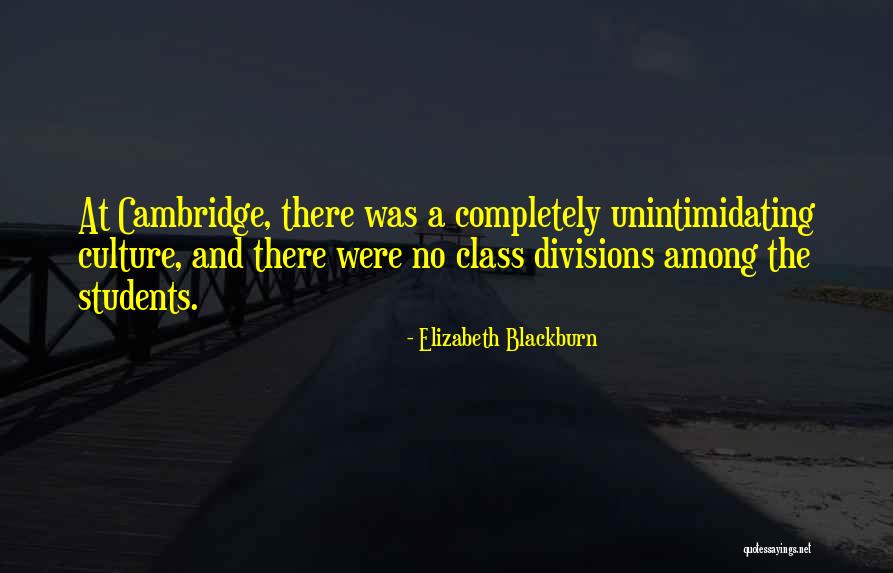 Elizabeth Blackburn Quotes 1718517