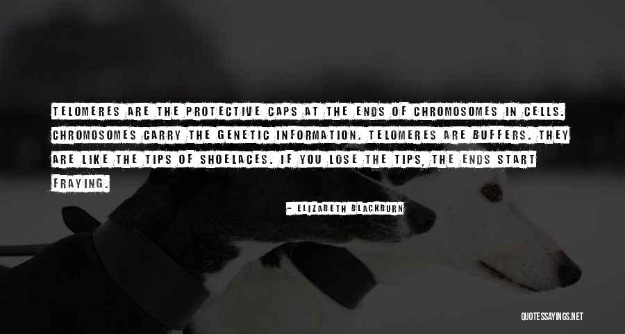 Elizabeth Blackburn Quotes 2235836 Elizabeth Blackburn Quotes 2235836