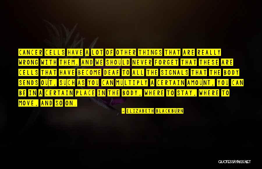 Elizabeth Blackburn Quotes 454527 Elizabeth Blackburn Quotes 454527