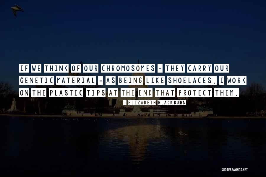Elizabeth Blackburn Quotes 750018 Elizabeth Blackburn Quotes 750018